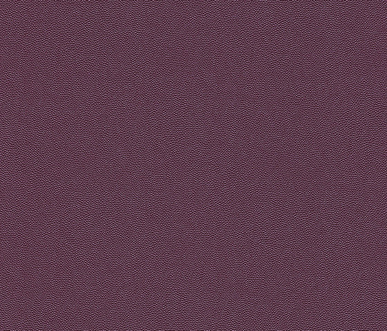 Wall Textures III 576085 | Drapery fabrics | Rasch Contract