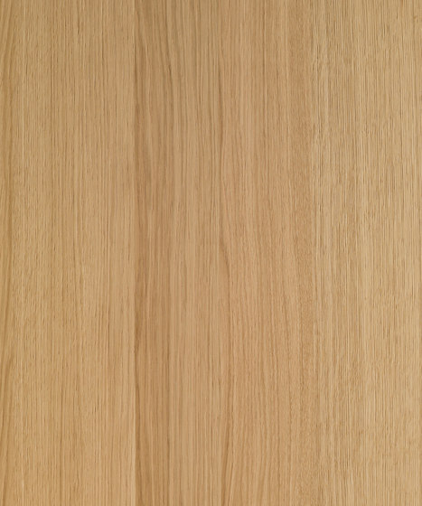Shinnoki Natural Oak | Placages | Decospan