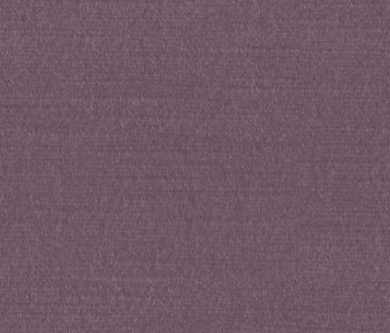 Scala 79 | Upholstery fabrics | Keymer