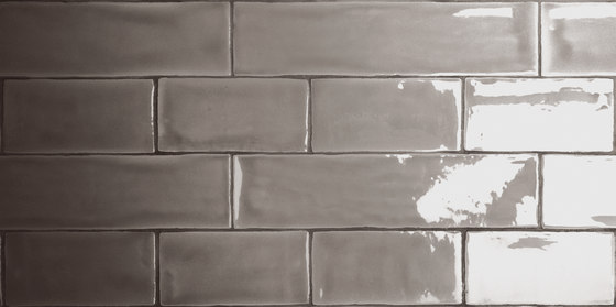 Mayolica Grey | Ceramic tiles | LIVING CERAMICS