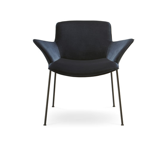 Burgaz Chair | Chairs | Walter Knoll