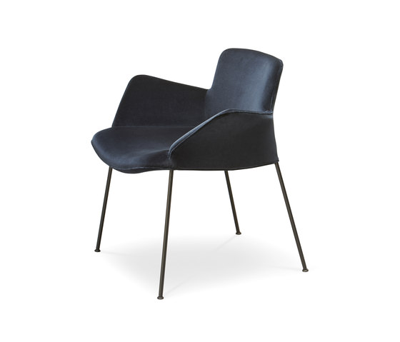 Burgaz Chair | Sillas | Walter Knoll