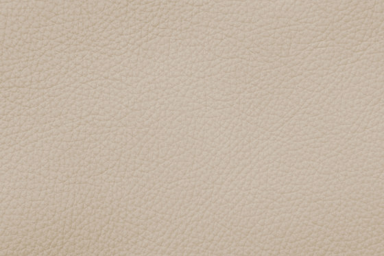 XTREME 19163 Malta | Tessuti imbottiti | BOXMARK Leather GmbH & Co KG