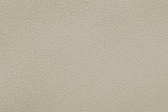 XTREME 19160 Sylt | Cuero natural | BOXMARK Leather GmbH & Co KG