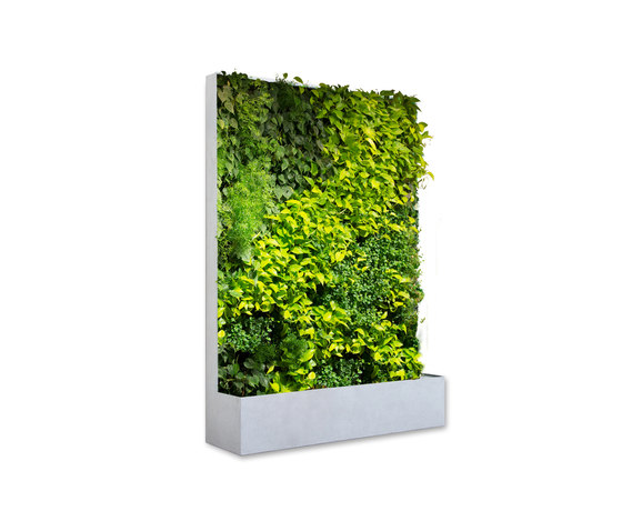 Grüne Wand® Pocket Edition 164 | Stellwände | art aqua