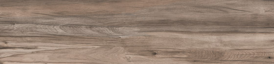 Dolphin Oak | Keramik Platten | ABK Group