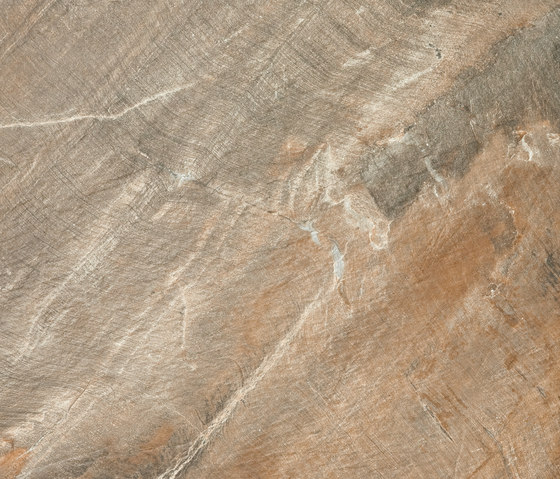 Fossil Brown | Piastrelle ceramica | ABK Group