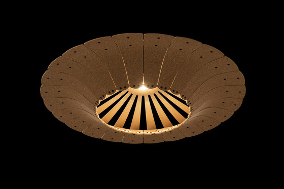Asterola | Lámparas de suspensión | David Trubridge Studio