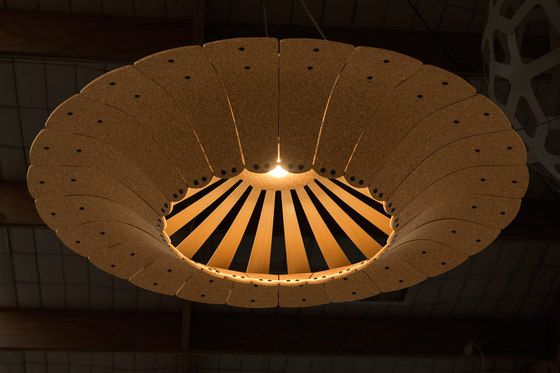 Asterola | Lámparas de suspensión | David Trubridge Studio