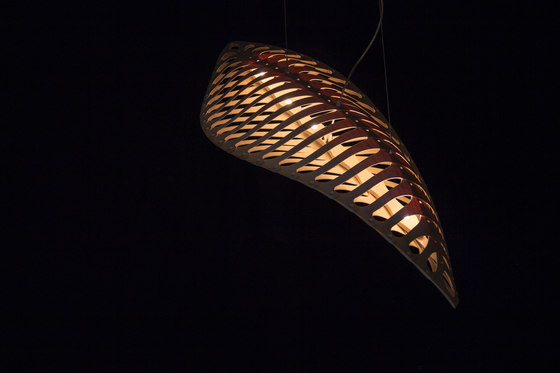 Navicula | Suspended lights | David Trubridge Studio