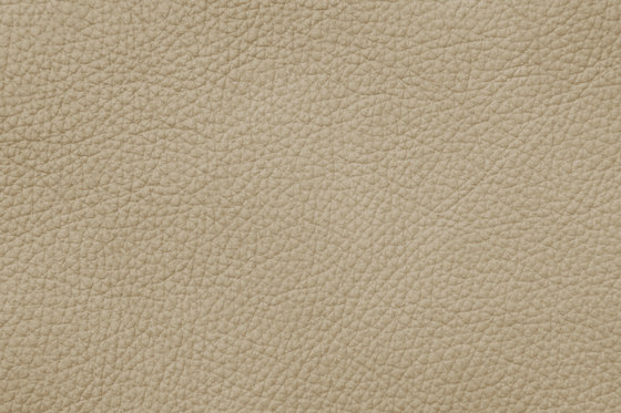 MONDIAL C 18499 Shellbach | Naturleder | BOXMARK Leather GmbH & Co KG