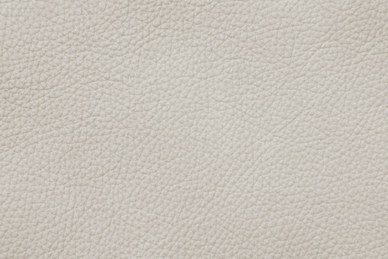 MONDIAL C 18615 Vanilla | Cuir naturel | BOXMARK Leather GmbH & Co KG