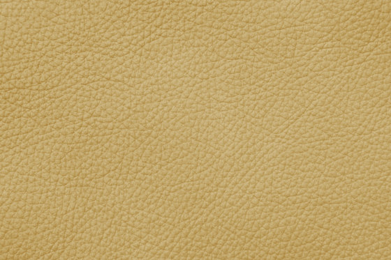 MONDIAL C 28195 Sahara | Cuero natural | BOXMARK Leather GmbH & Co KG