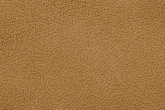 MONDIAL C 28498 Chamel | Natural leather | BOXMARK Leather GmbH & Co KG