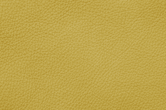 MONDIAL C 28505 Broom Yellow | Cuero natural | BOXMARK Leather GmbH & Co KG