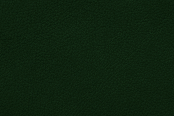 MONDIAL C 68500 Ivy Green | Cuero natural | BOXMARK Leather GmbH & Co KG