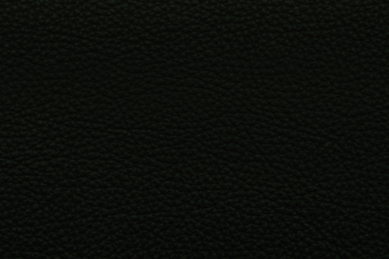 MONDIAL C 68508 Black Green | Cuero natural | BOXMARK Leather GmbH & Co KG