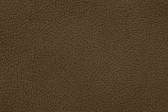 MONDIAL C 88233 Truffle | Natural leather | BOXMARK Leather GmbH & Co KG