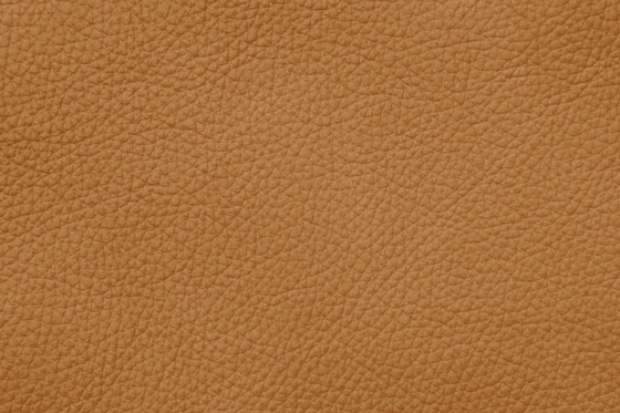 MONDIAL C 88245 Loam | Natural leather | BOXMARK Leather GmbH & Co KG