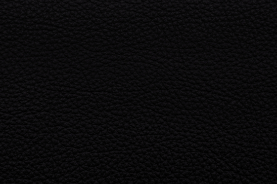 MONDIAL C 98006 Jet Black | Natural leather | BOXMARK Leather GmbH & Co KG
