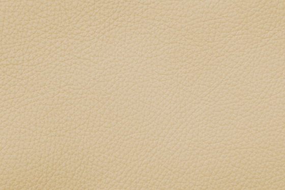 XTREME C 29160 Corfu | Natural leather | BOXMARK Leather GmbH & Co KG