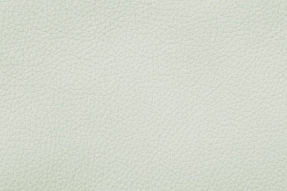 ROYAL C 19124 Arctic | Cuero natural | BOXMARK Leather GmbH & Co KG