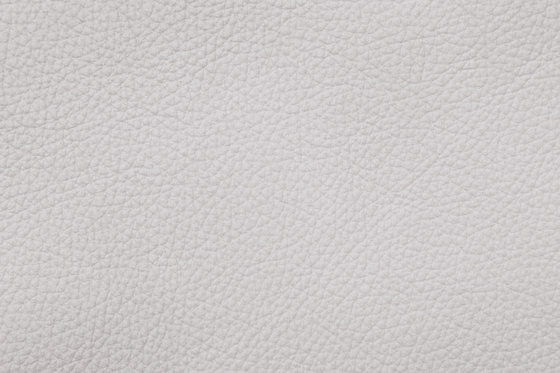 ROYAL C 19130 Light Grey | Cuero natural | BOXMARK Leather GmbH & Co KG