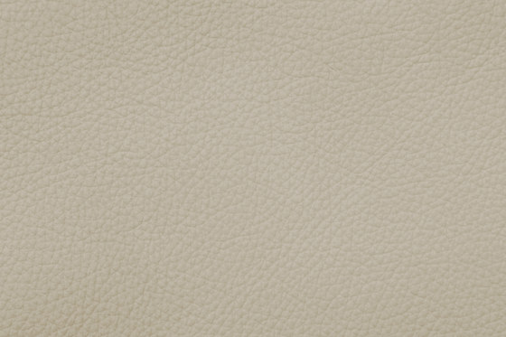 ROYAL C 19160 Stone | Cuir naturel | BOXMARK Leather GmbH & Co KG