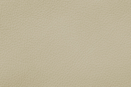 ROYAL C 19161 Ivory | Vero cuoio | BOXMARK Leather GmbH & Co KG
