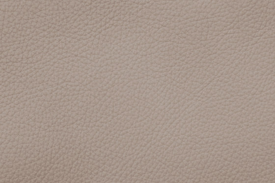 ROYAL C 19167 Clay | Natural leather | BOXMARK Leather GmbH & Co KG