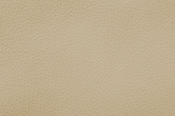 ROYAL C 19171 Beige | Vero cuoio | BOXMARK Leather GmbH & Co KG