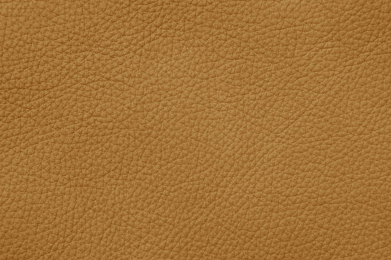 ROYAL C 29110 Khaki | Naturleder | BOXMARK Leather GmbH & Co KG