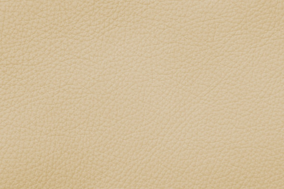 ROYAL C 29160 Sahara | Cuero natural | BOXMARK Leather GmbH & Co KG