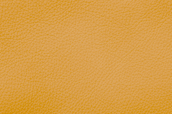 ROYAL C 29176 Sun | Cuero natural | BOXMARK Leather GmbH & Co KG