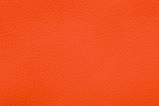 ROYAL C 39120 Mandarine | Natural leather | BOXMARK Leather GmbH & Co KG