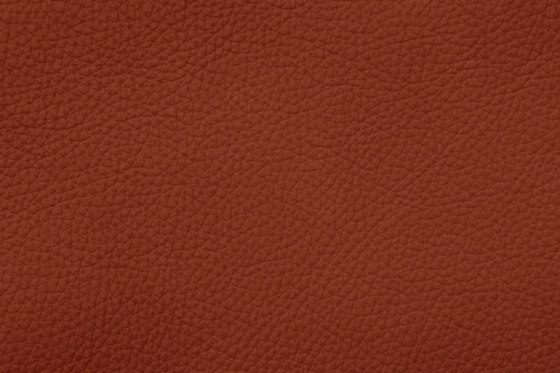ROYAL C 39168 Coral | Vero cuoio | BOXMARK Leather GmbH & Co KG