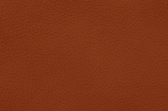 ROYAL C 39175 Rust | Natural leather | BOXMARK Leather GmbH & Co KG