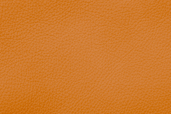 ROYAL C 39177 Orange | Cuero natural | BOXMARK Leather GmbH & Co KG