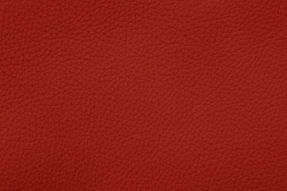ROYAL C 39178 Fire | Cuero natural | BOXMARK Leather GmbH & Co KG