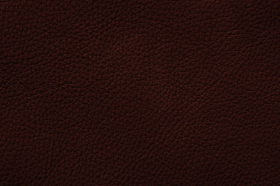 ROYAL C 49115 Chocolate | Cuir naturel | BOXMARK Leather GmbH & Co KG