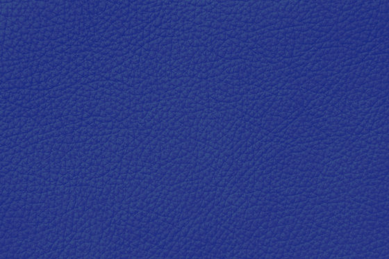 ROYAL C 59120 Azure | Cuero natural | BOXMARK Leather GmbH & Co KG