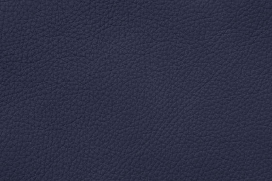 ROYAL C 59131 Lagoon | Cuero natural | BOXMARK Leather GmbH & Co KG