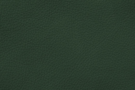 ROYAL C 69117 Opal Green | Natural leather | BOXMARK Leather GmbH & Co KG