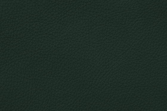 ROYAL C 69118 Tobernit | Cuero natural | BOXMARK Leather GmbH & Co KG