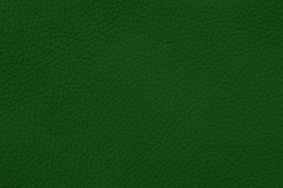 ROYAL C 69121 Apple | Vero cuoio | BOXMARK Leather GmbH & Co KG