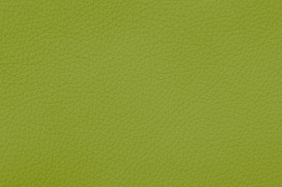 ROYAL C 69200 Pistachio | Vero cuoio | BOXMARK Leather GmbH & Co KG
