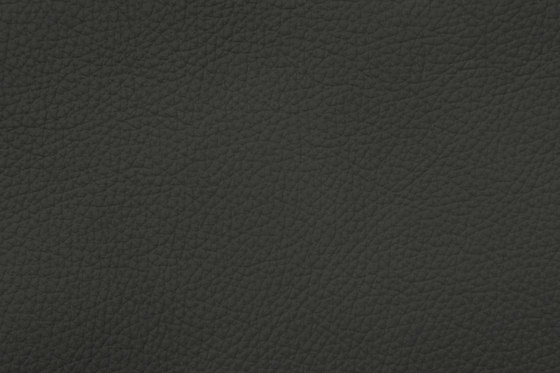 ROYAL C 79134 Slate | Naturleder | BOXMARK Leather GmbH & Co KG