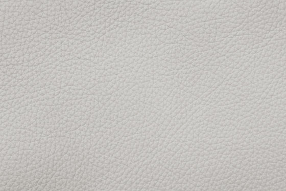 ROYAL C 79162 Gravel | Natural leather | BOXMARK Leather GmbH & Co KG
