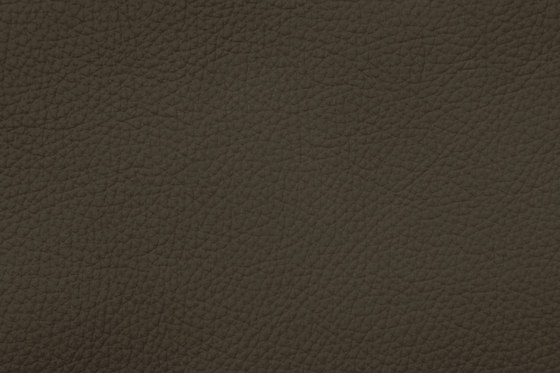 ROYAL C 79173 Reed | Naturleder | BOXMARK Leather GmbH & Co KG