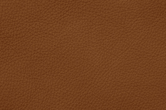 ROYAL C 89111 Saddle Brown | Natural leather | BOXMARK Leather GmbH & Co KG